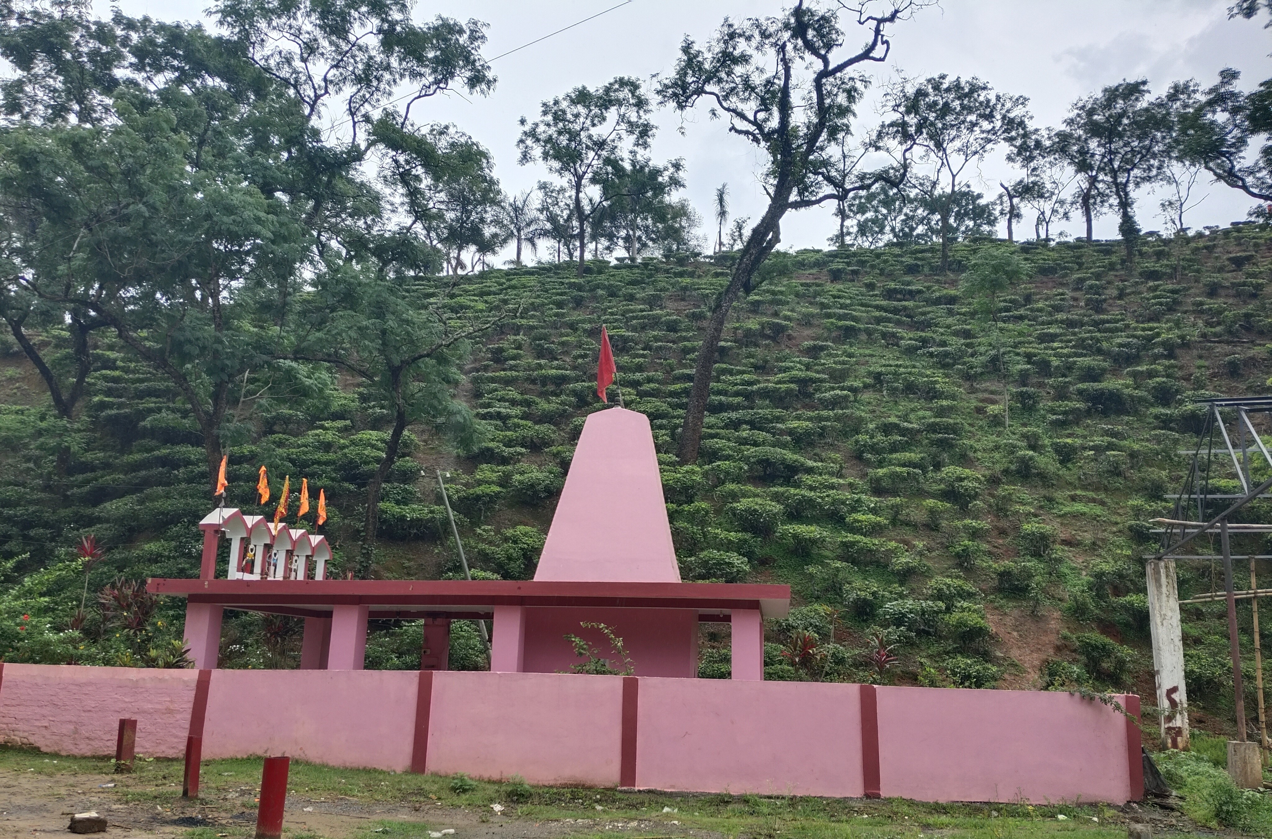 Experience Tea Culture of Assam This Durga Puja at Amchong Park and Resorts