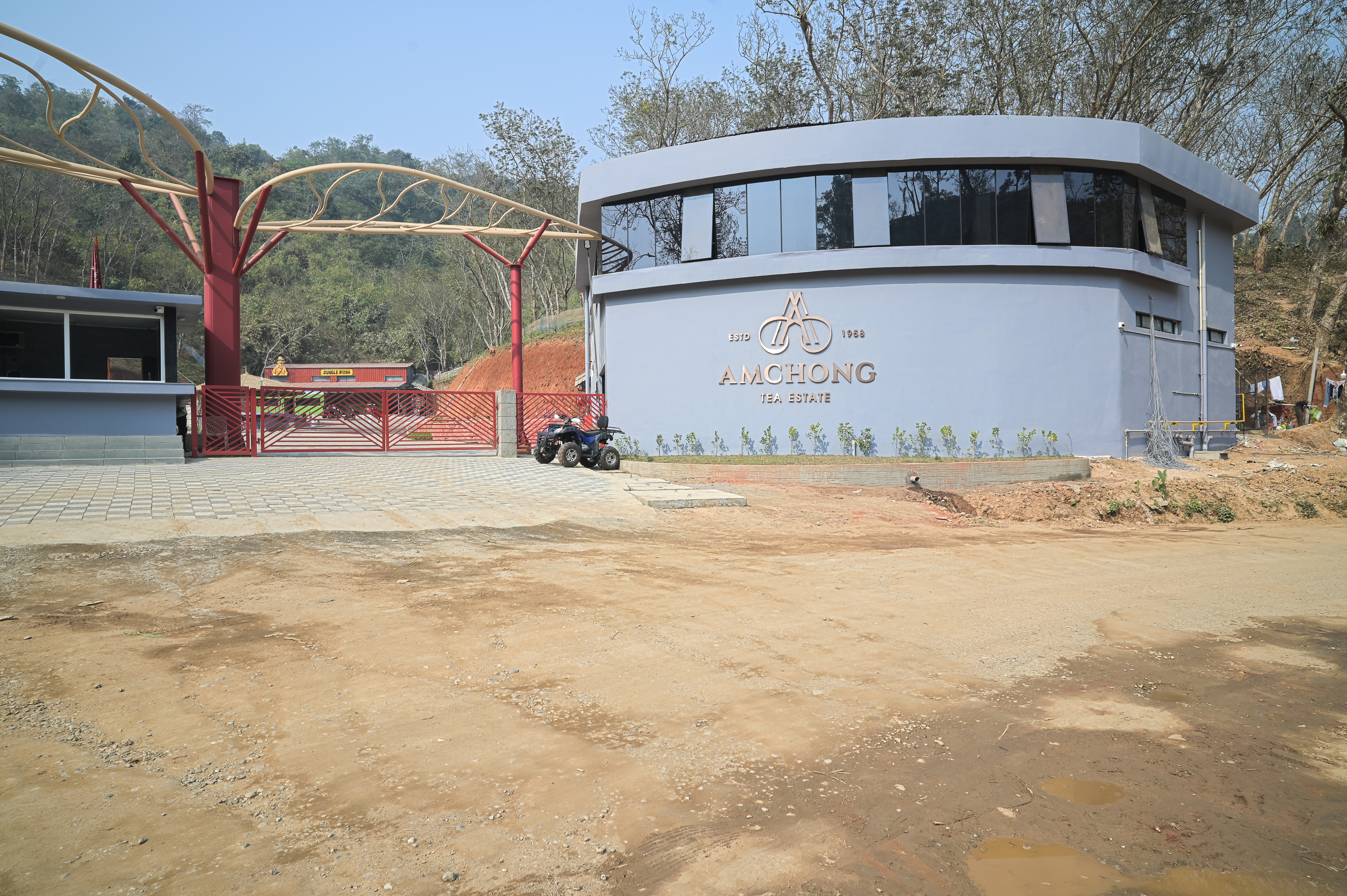 Sensory Calibration: How to Professionalize Your Tea Tasting Experience