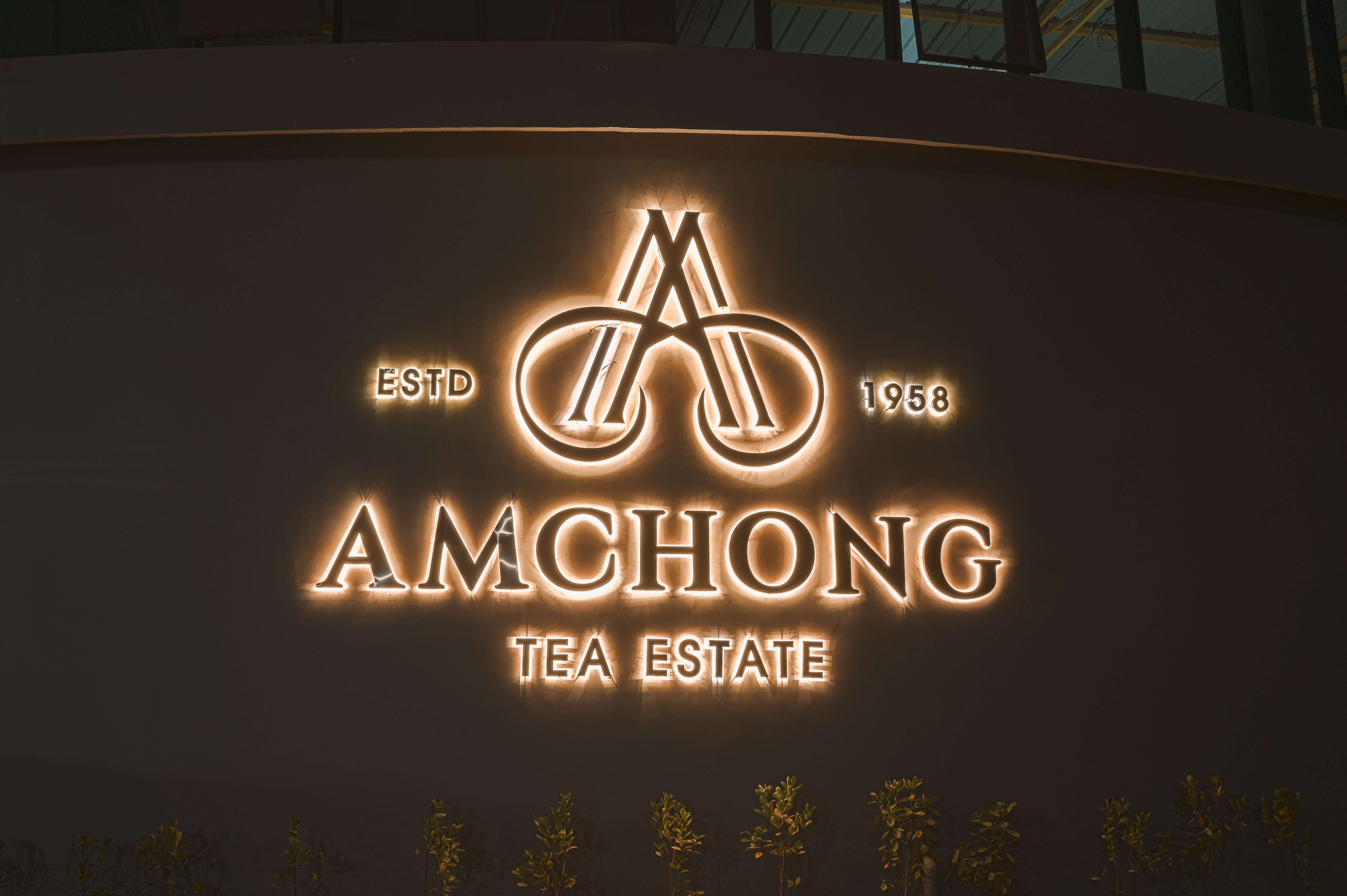 How Tea Tourism Is Redefining Travel Experiences in India