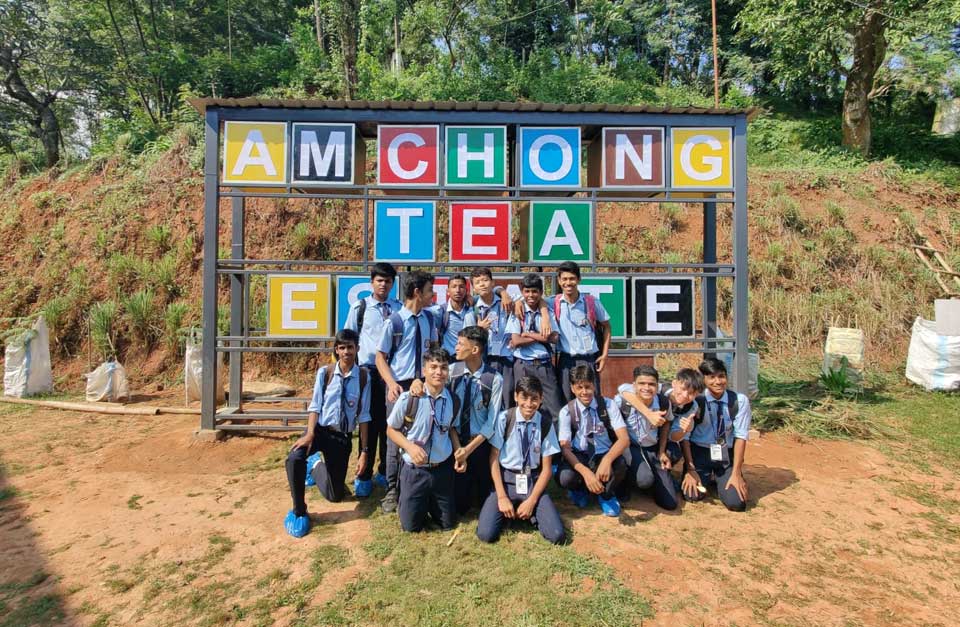 VISITING TEA PLANTATIONS