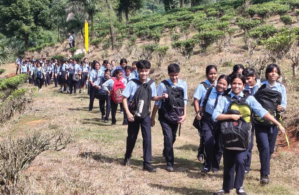 TEA TASTING AND SENSORY EDUCATION