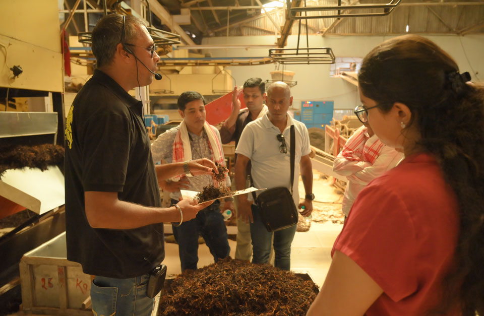 Stop by the Tea Factory