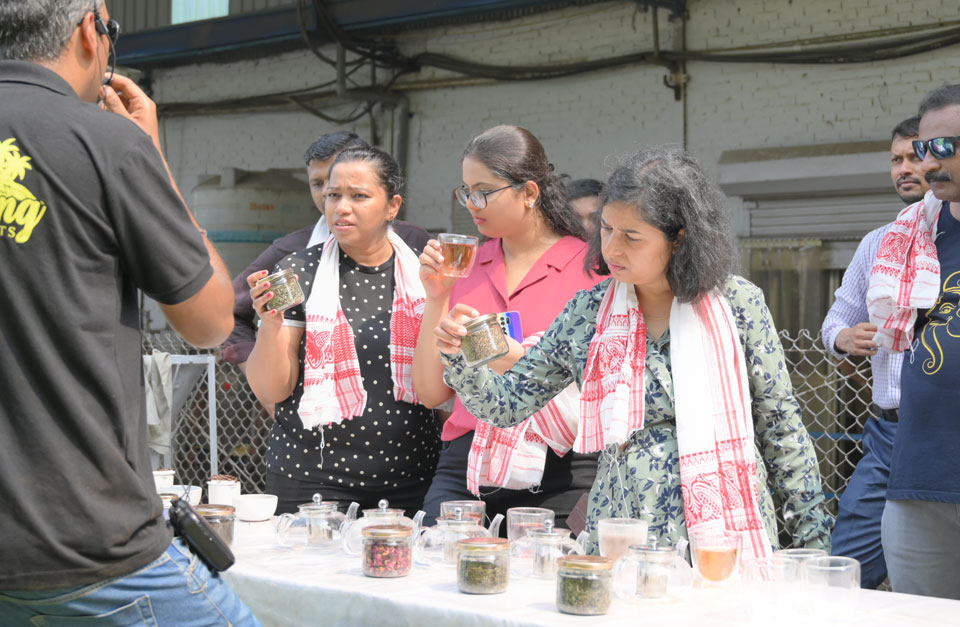 Enjoy a Guided Tea Tasting